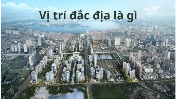 Bất Đắc Là Gì? Giải Nghĩa Và Các Trường Hợp Sử Dụng Phổ Biến