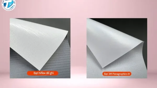 Bạt Đế Ghi Là Gì? Đặc Điểm, Ứng Dụng Và Lợi Ích Vượt Trội