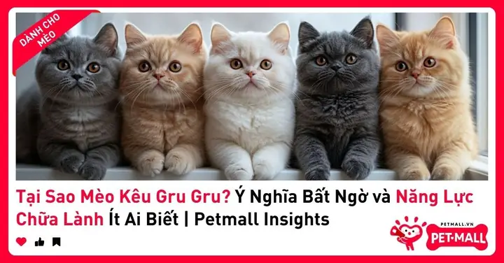 Bất Lực Là Gì? Ý Nghĩa, Nguyên Nhân Và Cách Vượt Qua Cảm Giác Bất Lực