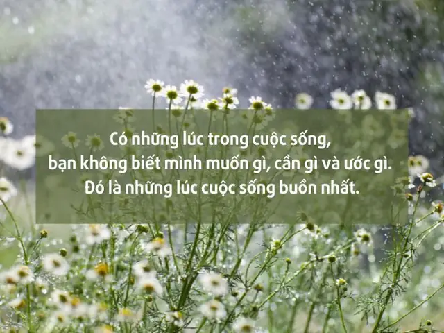 Bất Lực Là Gì? Ý Nghĩa, Nguyên Nhân Và Cách Vượt Qua Cảm Giác Bất Lực