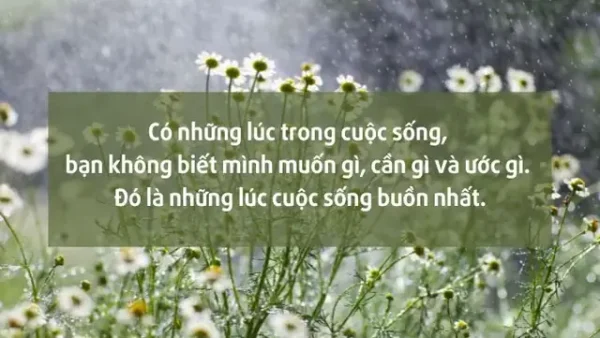 Bất Lực Là Gì? Ý Nghĩa, Nguyên Nhân Và Cách Vượt Qua Cảm Giác Bất Lực