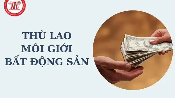 Bất Thụ Là Gì? Các Ý Nghĩa Và Trường Hợp Liên Quan Cần Biết