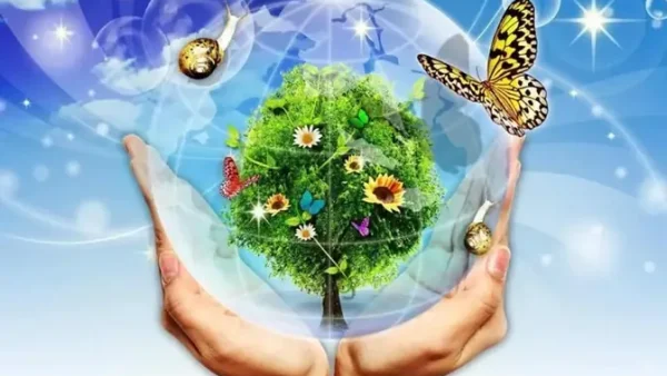 Bầu Không Khí Là Gì? Định Nghĩa, Các Khía Cạnh Và Ý Nghĩa Trong Cuộc Sống