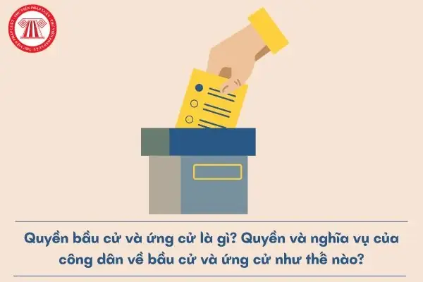 Bàu Nghĩa Là Gì? Khám Phá Các Ý Nghĩa Khác Nhau Và Nguồn Gốc Từ "bàu"