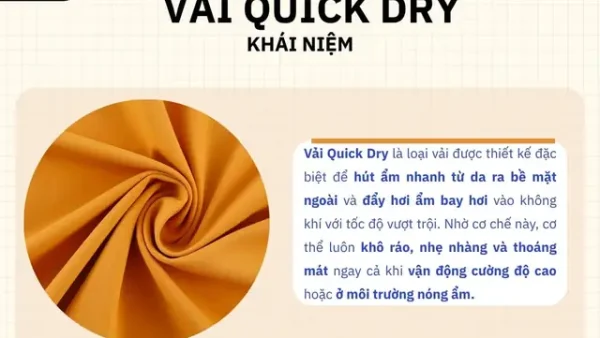Bấy Bề Nghĩa Là Gì? Giải Mã Ý Nghĩa Cụm Từ Vui Nhộn “ok Bấy Bề”