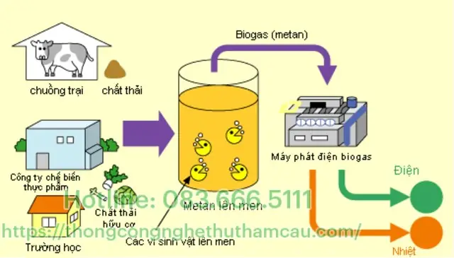 Bể Biogas Là Gì? Cấu Tạo, Nguyên Lý Và Lợi Ích Chi Tiết