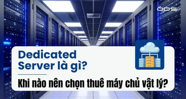 “dedicated To Nghĩa Là Gì” Và Cách Dùng Chuẩn Xác Trong Tiếng Anh