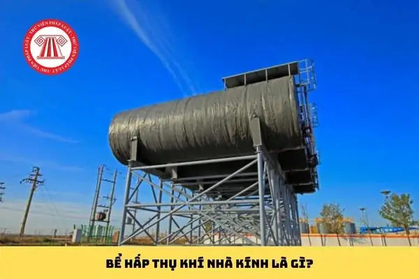 Bể Hấp Thụ Khí Nhà Kính Là Gì? Định Nghĩa, Phân Loại Và Vai Trò Quan Trọng