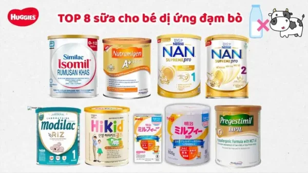 Bẹ Sữa Lợn Là Gì? Khám Phá Chi Tiết Về “nầm Lợn” Ít Người Biết