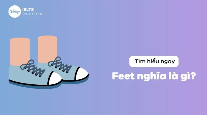 “be Where Your Feet Are” Nghĩa Là Gì? Giải Mã Cụm Từ Tiếng Anh Hay Về Cuộc Sống