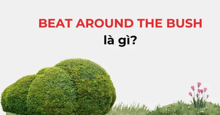 Beat Around The Bush Là Gì? Giải Mã Ý Nghĩa, Nguồn Gốc Và Cách Sử Dụng Chuẩn Xác