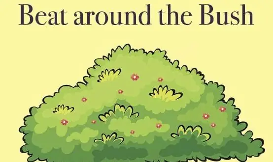 Beat Around The Bush Nghĩa Là Gì? Giải Mã Ý Nghĩa, Cách Dùng Và Phân Biệt