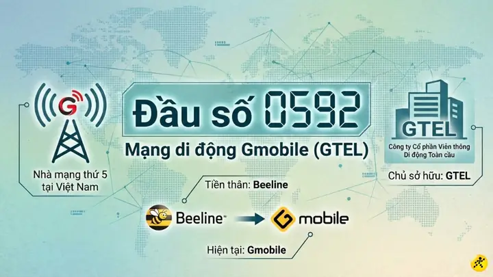 Beeline Là Gì? Định Nghĩa, Ý Nghĩa Tiếng Anh Và Lịch Sử Tại Việt Nam
