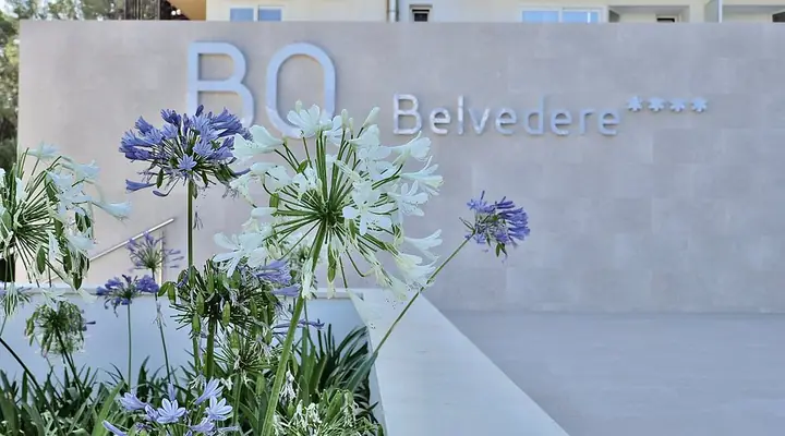 Belvedere Là Gì? Nghĩa Của Từ Và Các Địa Danh Nổi Tiếng