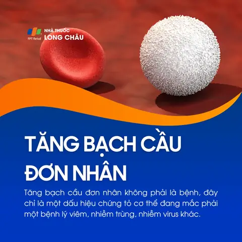 Bệnh Bạch Cầu Đơn Nhân Là Gì? Nguyên Nhân, Triệu Chứng Và Cách Điều Trị