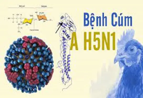 Bệnh Cúm A/H5N1 Là Gì? Nguyên Nhân, Triệu Chứng Và Cách Phòng Ngừa Hiệu Quả