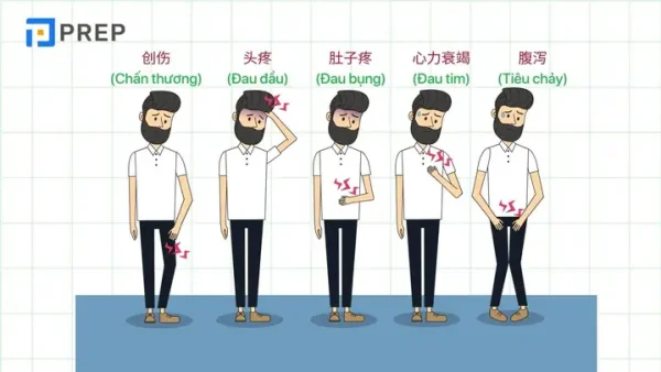 Đột Quỵ Tiếng Trung Là Gì? Giải Mã Từ Vựng Zhongfēng (中风) Và Ý Nghĩa