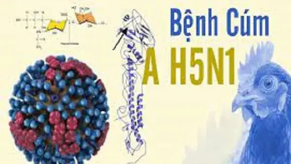 Bệnh H5N1 Là Gì? Nguyên Nhân, Triệu Chứng, Cách Phòng Ngừa Và Xử Lý