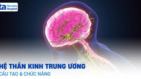 Bệnh Hệ Thần Kinh Tự Quản Là Gì? Nguyên Nhân, Triệu Chứng & Cách Điều Trị