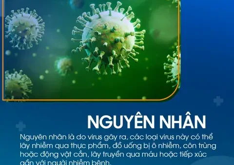 Sốt Siêu Vi Là Gì? Nguyên Nhân, Triệu Chứng Và Cách Điều Trị Hiệu Quả