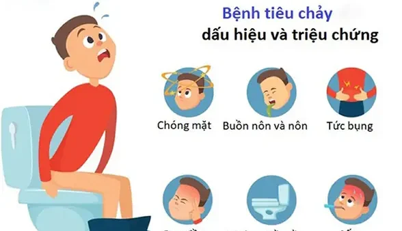 Tiêu Chảy Là Gì? Nguyên Nhân, Triệu Chứng Và Cách Điều Trị Hiệu Quả
