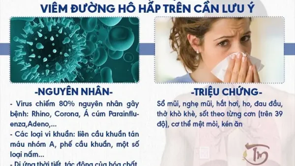 Viêm Đường Hô Hấp Trên Là Gì? Nguyên Nhân, Triệu Chứng Và Cách Điều Trị Hiệu Quả