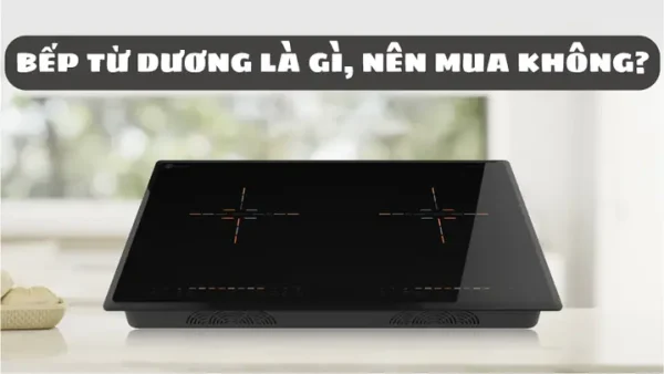 Bếp Từ Dương Là Gì? Có Nên Mua Và Sử Dụng Bếp Từ Dương Cho Gia Đình?