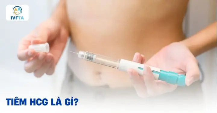 Beta HCG Là Gì? Ý Nghĩa, Cách Đọc Kết Quả Và Khi Nào Cần Xét Nghiệm