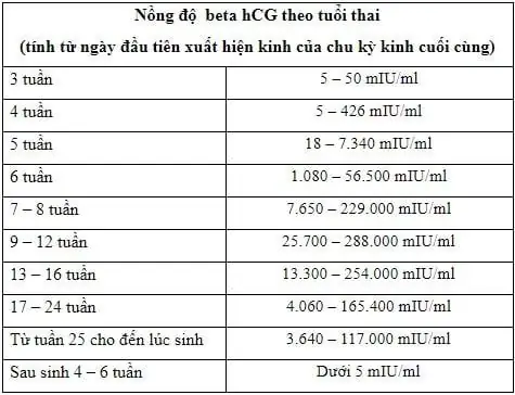 Beta HCG Là Gì? Ý Nghĩa, Cách Đọc Kết Quả Và Khi Nào Cần Xét Nghiệm