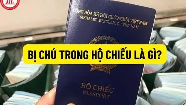Bị Chú Hộ Chiếu Là Gì? Giải Đáp Toàn Diện Thủ Tục, Điều Kiện Ghi Chú Nơi Sinh