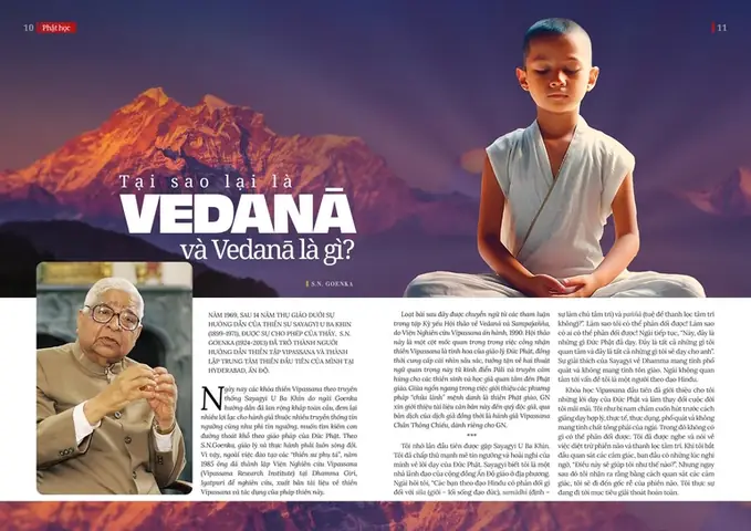 "bị Khìn" Là Gì? Giải Mã Ý Nghĩa Tiếng Lóng Và Các Cách Dùng
