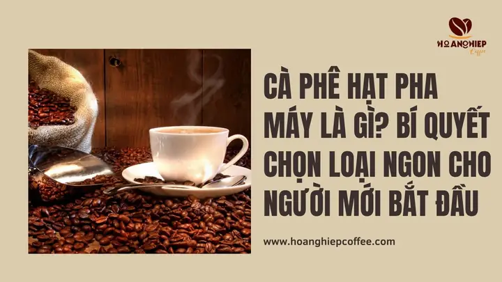 Bì Mao Là Gì? Chức Năng Và Tầm Quan Trọng Của Phế Đối Với Sức Khỏe Làn Da, Lông Tóc