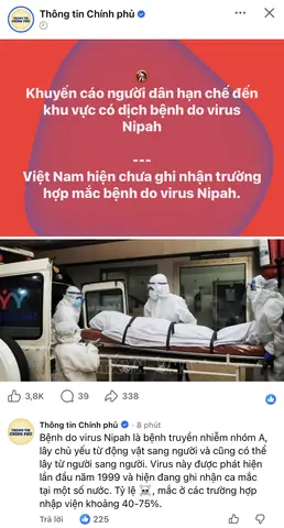 Biến Hình Là Gì? Ý Nghĩa, Các Khái Niệm Liên Quan Và Ví Dụ Minh Họa