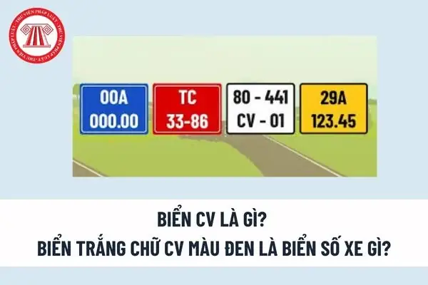 Biển Số Xe 80 CV Là Gì? Ý Nghĩa, Quy Định Và Đối Tượng Sử Dụng