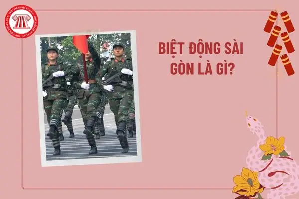Biệt Đội Là Gì? Các Loại Biệt Đội Phổ Biến & Ý Nghĩa