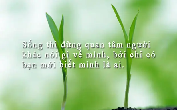 Biết Quan Tâm Đến Người Khác Là Gì? Dấu Hiệu Nhận Biết & Cách Thể Hiện Tình Cảm Chân Thành