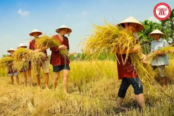 Biểu Hiện Của Lòng Yêu Nước: Thế Nào Là Yêu Nước Chân Chính?