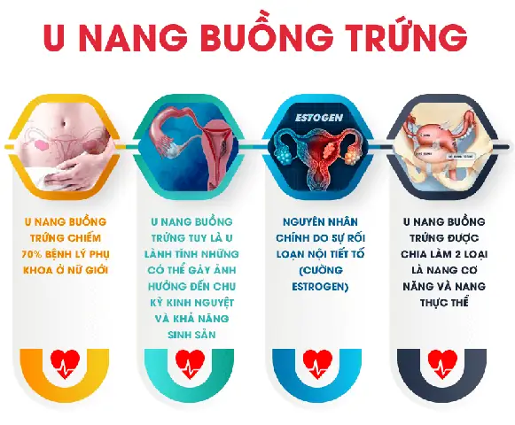 Biểu Hiện U Nang Buồng Trứng Là Gì? Dấu Hiệu Nhận Biết Sớm Và Cách Xử Trí