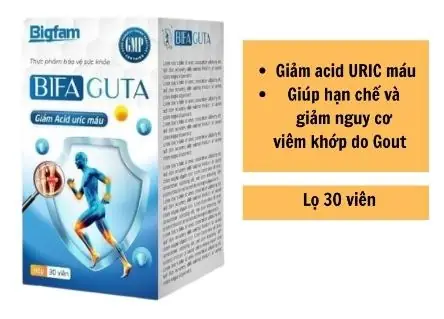 BIFA Là Gì? Chương Trình Cử Nhân Quốc Tế, Hiệp Hội Gỗ Và Các Khía Cạnh Khác