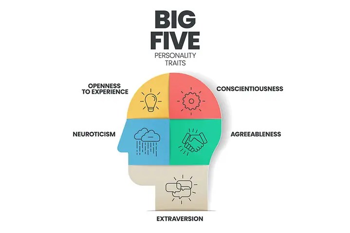 Big Five Personality Traits Là Gì? Khám Phá Mô Hình 5 Yếu Tố Tính Cách OCEAN
