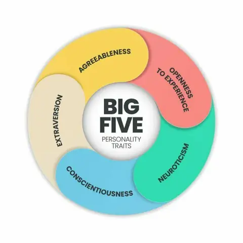 Big Five Personality Traits Là Gì? Khám Phá Mô Hình 5 Yếu Tố Tính Cách OCEAN
