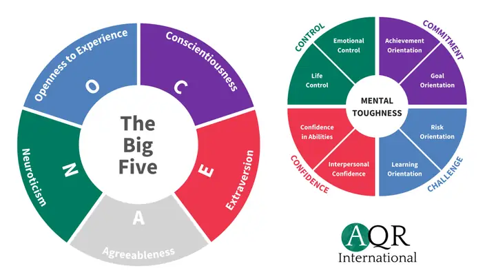 Big Five Personality Traits Là Gì? Khám Phá Mô Hình 5 Yếu Tố Tính Cách OCEAN