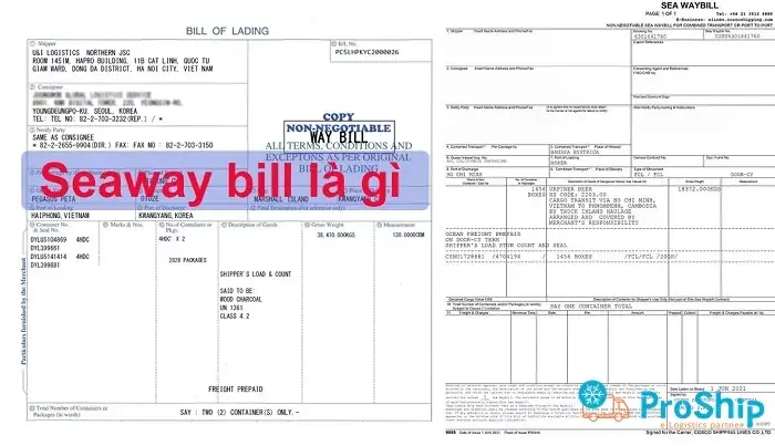 Draft Bill Là Gì? Phân Biệt Vận Đơn Nháp Với Vận Đơn Gốc Và Copy