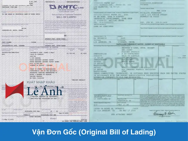 Vận Đơn Gốc (original Bill Of Lading) Là Gì? Chức Năng Và Cách Sử Dụng