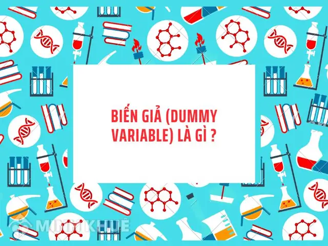 Biến Nhị Phân (binary Variable) Là Gì? Đặc Điểm, Ví Dụ Và Ứng Dụng