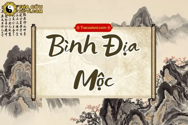 Bình Địa Mộc Là Gì? Ý Nghĩa, Đặc Điểm Và Phong Thủy Cho Người Mệnh Này