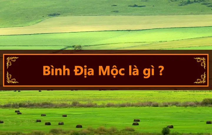 Bình Địa Mộc Là Gì? Ý Nghĩa, Đặc Điểm Và Phong Thủy Cho Người Mệnh Này
