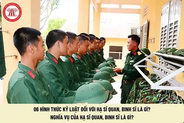 Binh Sĩ Dự Bị Là Gì? Vai Trò, Nghĩa Vụ Và Quyền Lợi Theo Quy Định Mới Nhất