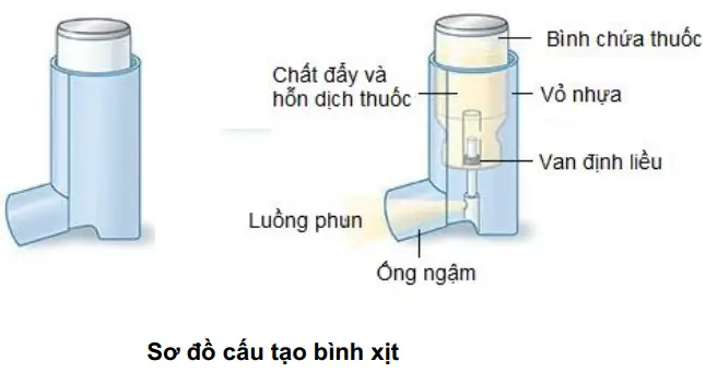 Bình Suyễn Là Gì? Hiểu Rõ Tình Trạng Hen Suyễn Và Các Phương Pháp Hỗ Trợ Điều Trị