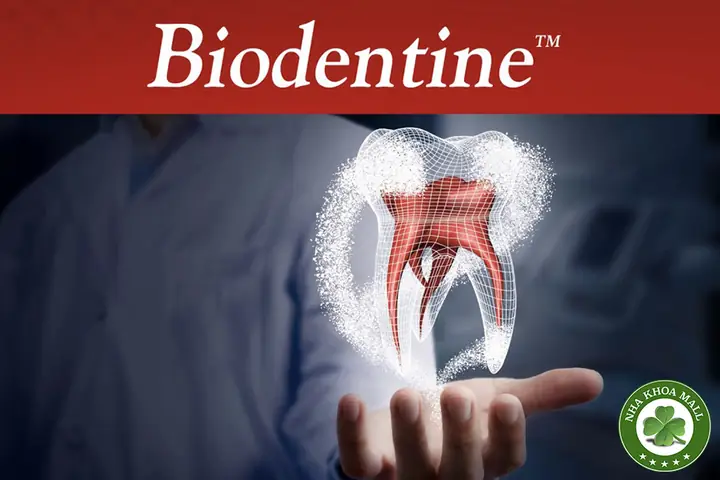 Biodentine Là Gì? Công Dụng, Thành Phần Và Ứng Dụng Trong Nha Khoa